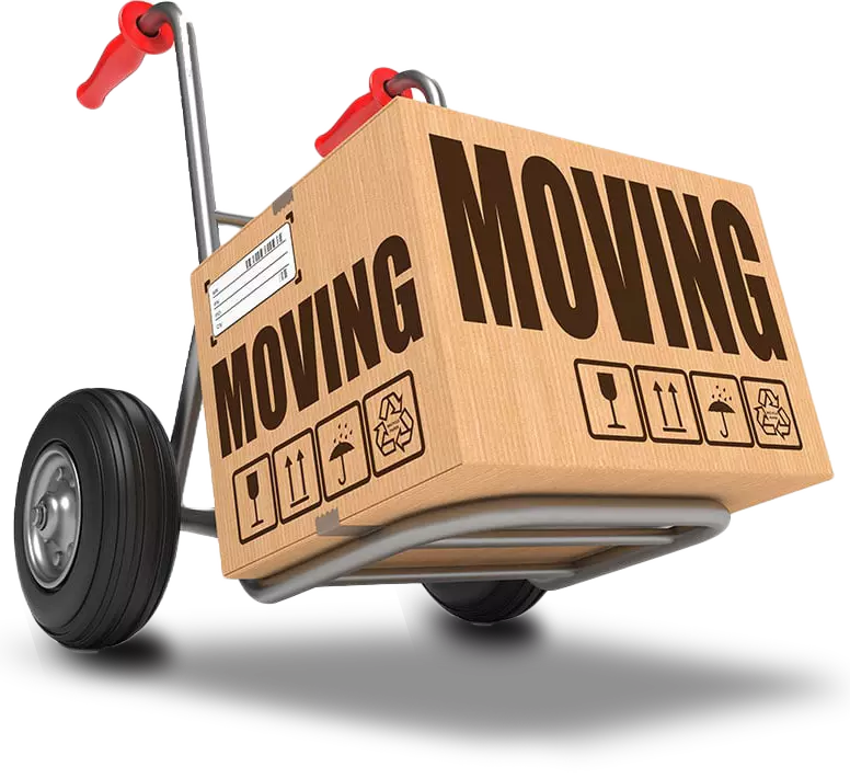 dolly-width-moving-box-trans